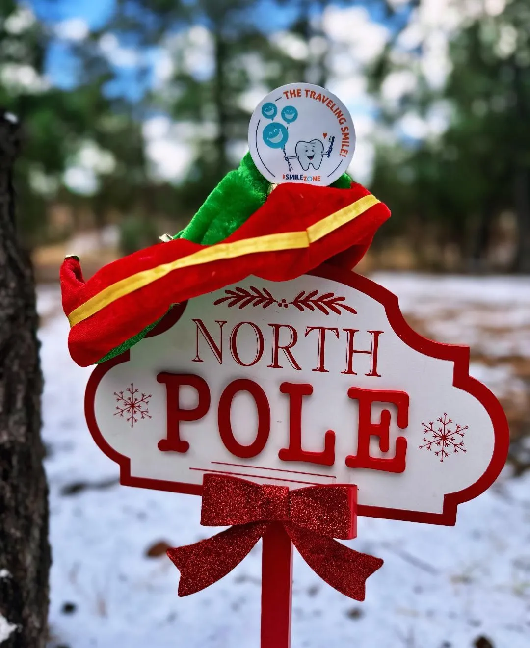 TheSmileZone traveling smile badge on a North Pole sign
